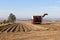 Potato harvester