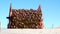 Potato harvester unloads potatoes in a Truck for transport. Farm machinery Harvesting fresh organic potatoes in an