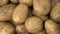 Potato pile rotating motion background.