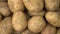 Potato pile rotating motion background.