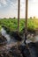 Potato plantation watering management. The shovels stuck into the stream evenly distribute the water flows through different