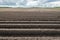 Potato ridges in a Dutch polder landscape just after the rain