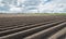 Potato ridges in a Dutch polder landscape just after the rain