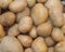 The potato is a root vegetable, a starchy tuber of the plant Solanum tuberosum, and the plant itself in the family Solanaceae.