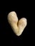 Potato in the shape of a heart. Potato fruits of an unusual shape. Concept: love potatoes. Vegetables isolated on black background