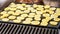 Potato sliced to small circles, seasoned with spice, grilled on electric grill