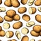 Potato vector seamless pattern. Hand drawn food background. Drawing