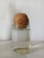 Potato Water Propagation in A Glass Jar