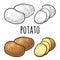 Potato whole and slice. Vector color vintage engraving