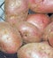 Potatoes background