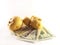 Potatoes and dollars. Food and money. Harvest, sale, income