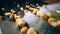 Potatoes getting on a sorting conveyor in a food production facility.