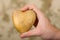 Potatoes in hand, heart shaped