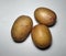 Potatoes isolated on white background close up. Potato root