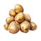 Potatoes. Realistic close-up illustration of fresh vegetable, isolated on white background. Generative AI