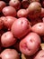 Potatoes, Red Skin Potato, Local Farmers Market