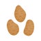 Potatoes vector illustration icon set