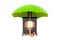 Potbelly stove, wood burner stove under umbrella, 3D rendering
