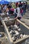 Potential buyers inspect a cage of turkeys and chickens at the Otavalo animal market in Ecuador, South America.