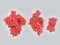 Potential drug target proteins of coronavirus SARS-CoV-2:spike protein, RNA polymerase, main protease