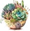 Potfuls of Charm: A Watercolor Exploration of Succulents AI Generated