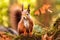 Potrait of cute adorable red squirrel. AI Generative