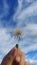 Potrait of dandelion field with blue sky and clouds