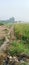 Potrait of a long farm trail on a sunny day in india. Agro industry.