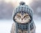 Potrt of a cute british short cat silver tabby in cold winter wearing a warm knitted hat.