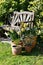 pots of daffodils in front of a garden bench