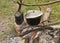 Pots of food over a campfire