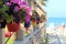 Pots with petunia flowers on the background of the beach and the sea