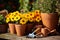 Pots shovel gardening tools flowers plants digging hobby nature growth cultivate outdoors horticulture equipment flora