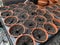 Pots of soil