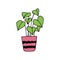 potted anthurium icon hand drawn. , minimalism, scandinavian, doodle, cartoon. sticker, plant, flower.