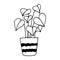 potted anthurium icon hand drawn. , minimalism, scandinavian, monochrome, nordic. sticker, plant, flower.