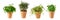 Potted aromatic food herbs collection for garden or home. Basil, rosemary, parsley plants in clay pots isolated