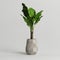 Potted banana plant isolated on gray background
