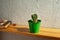 Potted cactus in a bucket shaped flowerpot on shelf. Cacti are succulent perennial plants. Highly preferred houseplants.