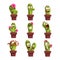 Potted cactus characters sett, funny cacti in flower pot with different emotions vector Illustrations on a white