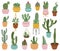 Potted cactus. Cute desert cactus, succulents and aloe in pots, tropical home plants, mexican prickly house potted