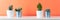 Potted cactus house plants on white shelf against coral orange colored wall. Cactus plants banner.