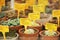 Potted Cactus Plants