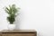 Potted chamaedorea palm on wooden table near white wall, space for text. Beautiful houseplant