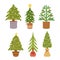 Potted Christmas Trees Bring Festive Charm To Any Space. Compact And Reusable, These Mini Evergreens Add Holiday Magic