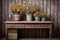 potted dried daisies on an antique wooden desk