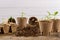 Potted flower seedlings growing in biodegradable peat moss pots. Zero waste, recycling, plastic free concept.