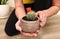 A potted flowering cactus in the hands of a woman, close - up-the concept of transplanting and caring for domestic plants