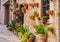 Potted flowers plants in Valldemossa village on Majorca island, Spain