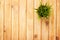 Potted grass flower over wooden table background